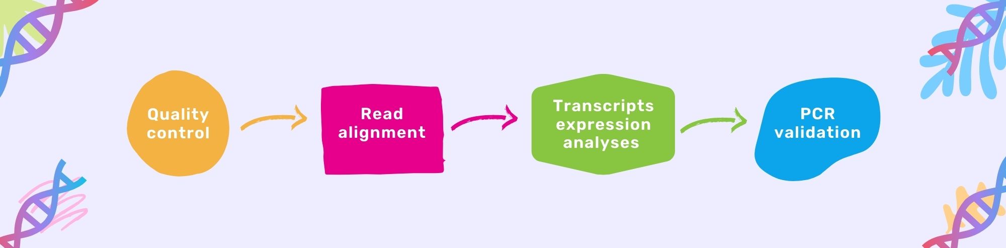 An Overview On RNA Sequence Analysis
