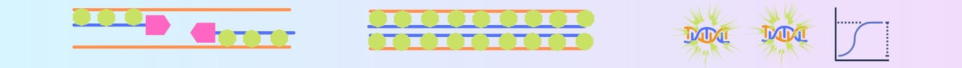 Deep Overview About RT-qPCR