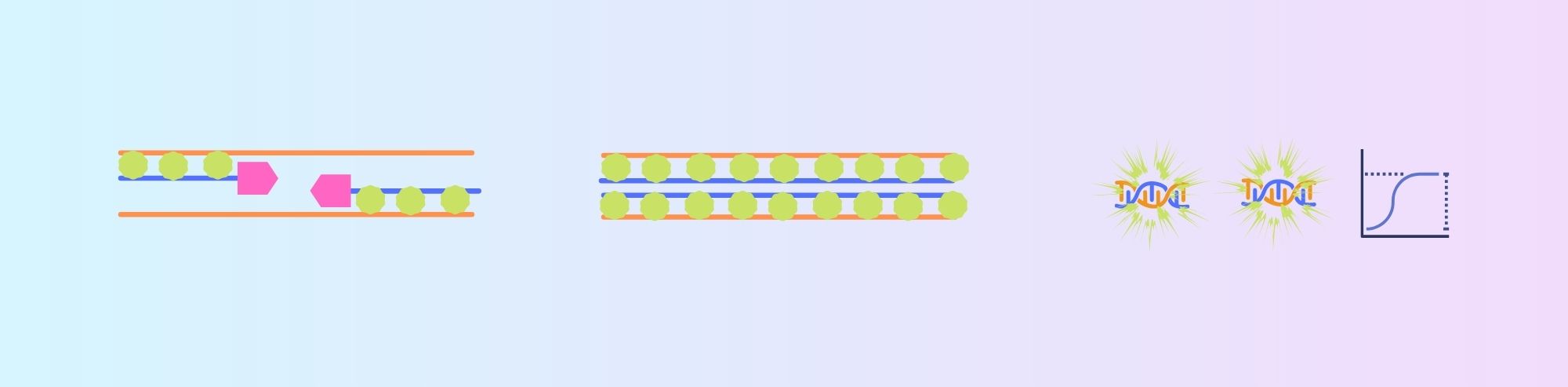 Deep Overview About RT-qPCR