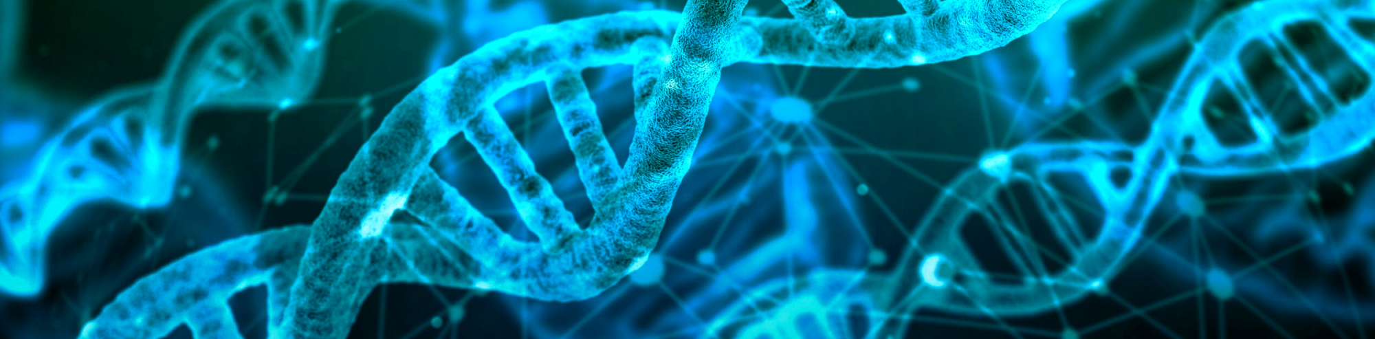 Cómo solucionar problemas de clonación basada en enzimas de restricción