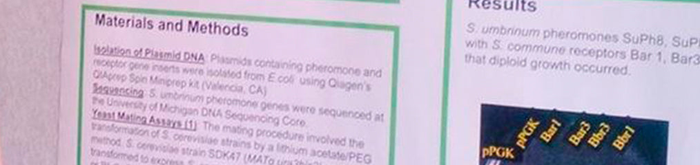 10 Steps to a More Effective Scientific Presentation