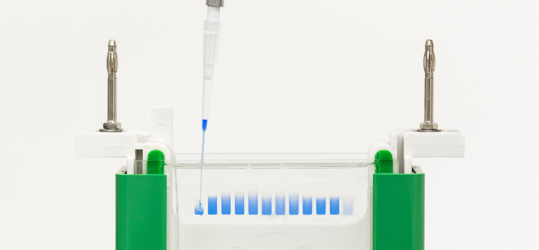 TCEP Thumbnail image