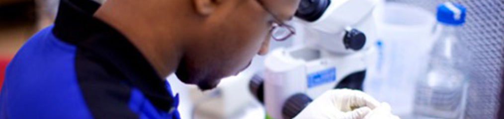 The Postdoc’s Guide to Tenure-Track Positions