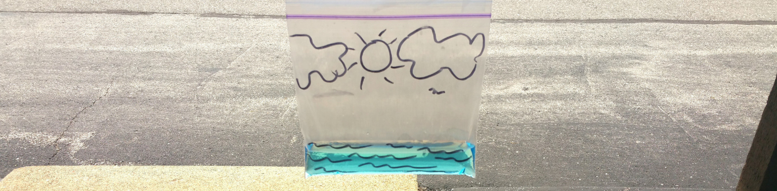 water cylce in a bag