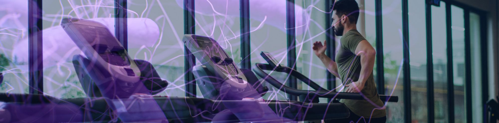 The Gut Microbiome: Its Role in Exercise Motivation and Performance