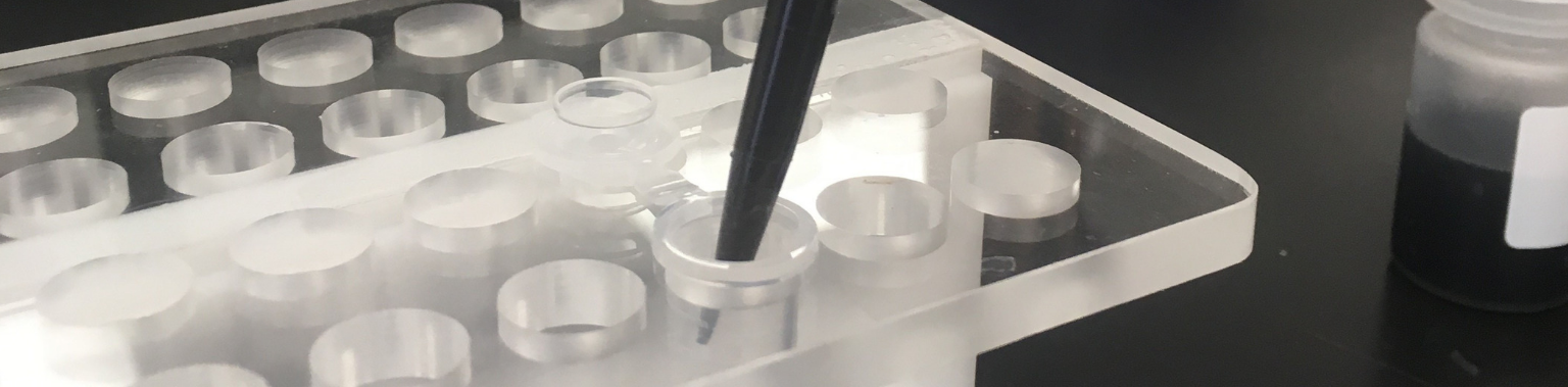 Protein Purification: Top Advantages of Magnetic Agarose Beads