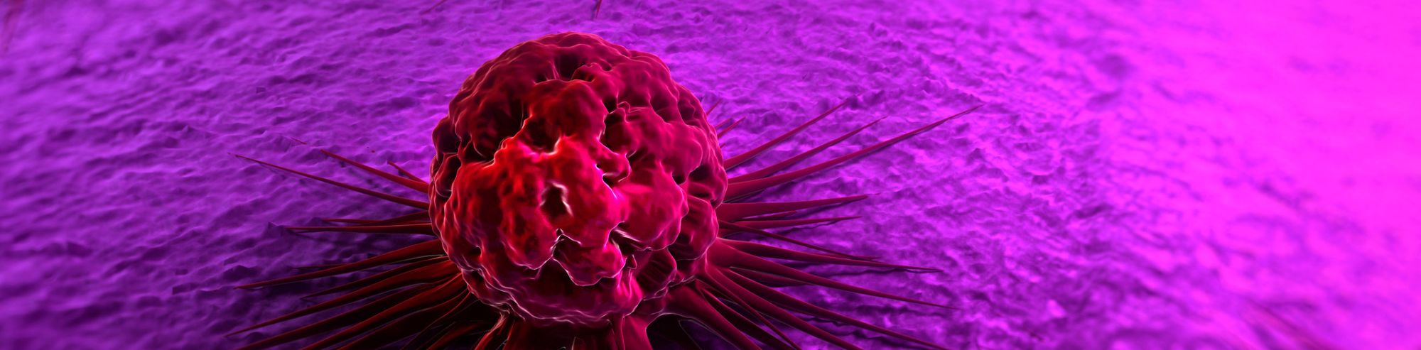 From Basic to Deadly: The Impact of pH on Protein Function and Cancer Progression