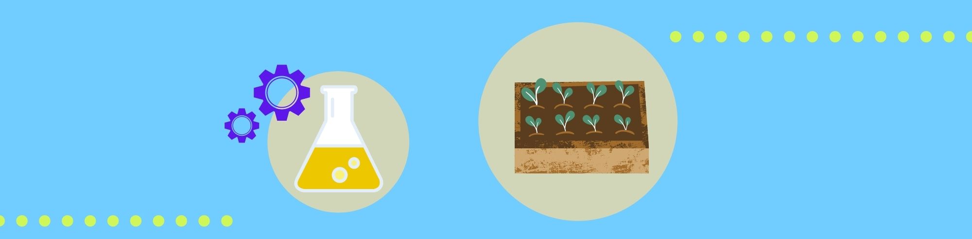 Four Steps to Design an Effective Medium for Plant Regeneration