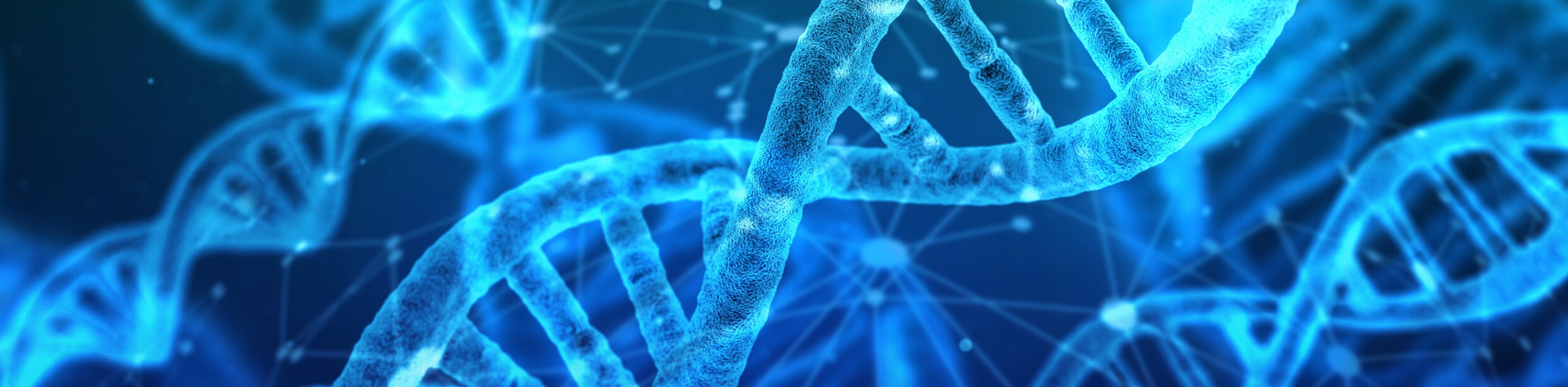 All About Probe-Based Real-Time qPCR Assays