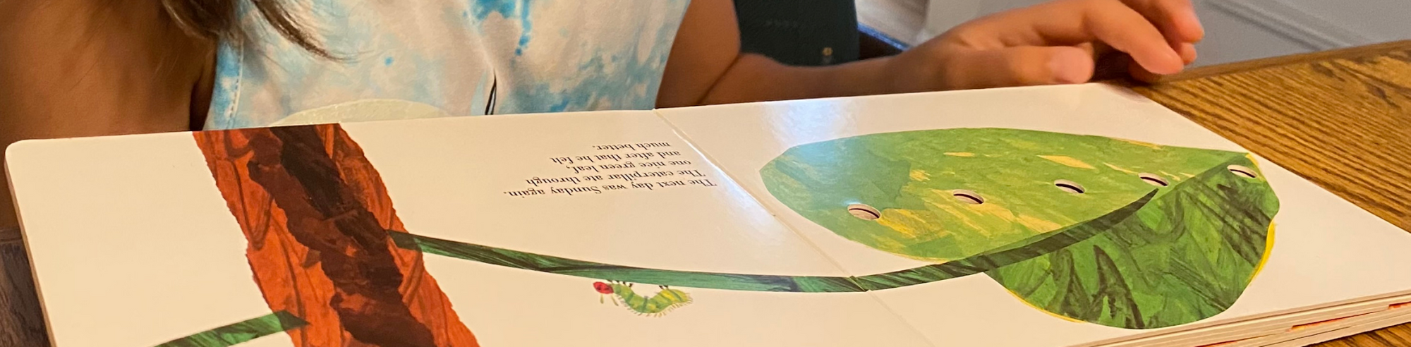 Good Storytelling Transports Us to Another World