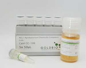 Collection image for: AGL1