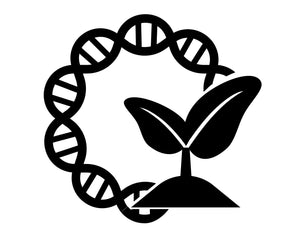 Collection image for: Agrobacterium Plasmids