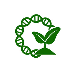 pSuperAgrobacterium Plasmids