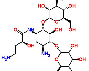 Collection image for: Aminoglycosides