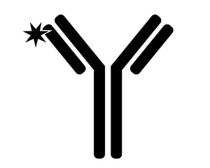 Collection image for: Antibody & Protein Labeling