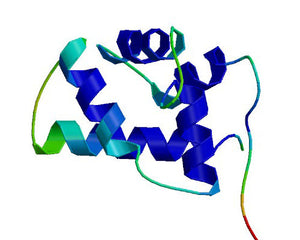 BNDF Collection Image