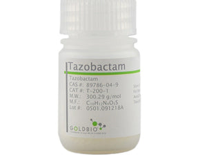 beta-lactamaze inhibitors collection images