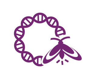 Collection image for: Bioluminescence Plasmids