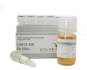 C58C1 agrobacterium strain collection thumbnail