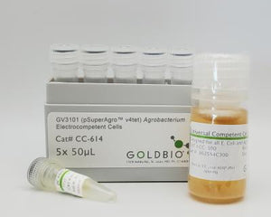Collection image for: pSuperAgro® v4 Agrobacterium Electrocompetent Cells