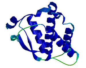 CSFs collection Image