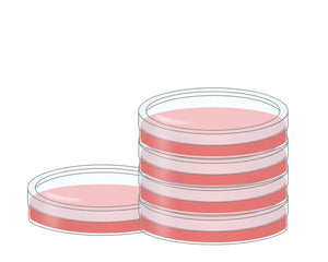 stack of petri dishes - cell culture enzyme category