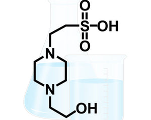 Cell culture buffers - hepes molecule with flask behind
