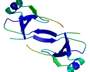 Chemokines collection image