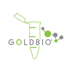Collection image for: Western Blot and Immunohistochemistry