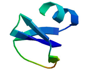 Defensins Collection Image