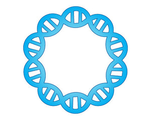 Collection image for: E. coli Plasmids