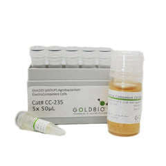 eha105 agrobacterium competent cells - GoldBio