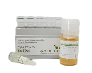 eha105 agrobacterium competent cells - GoldBio
