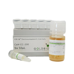 GB10B competent cells - DH10B equivalent