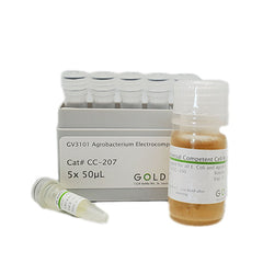 GV3101 Agrobacterium Competent cells by GoldBio