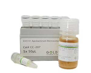GV3101 Agrobacterium Competent cells by GoldBio