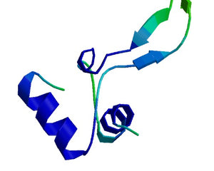 IGFs Collection Image