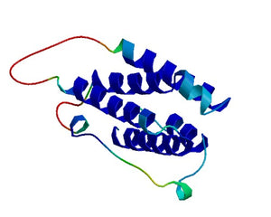 Interferons collection image