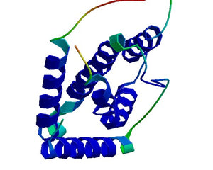 Interleukins collection image