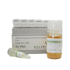LBA4404 agrobacterium competent cell pack