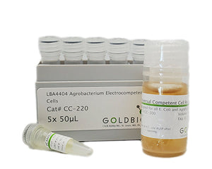 LBA4404 agrobacterium competent cell pack