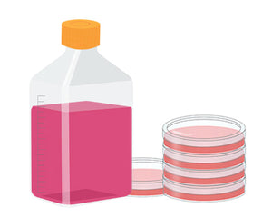 Collection image for: Media Additives