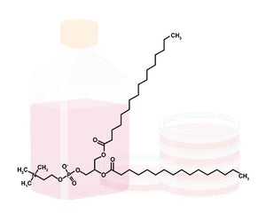 membrane agents image
