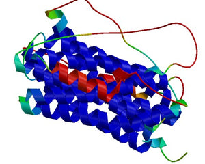 Neurotrophic factors collection image