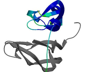 PDFGs collection image