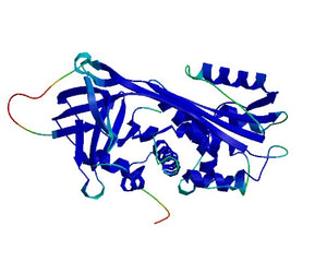 PEDFs collection image