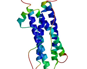 Peptide Hormone Collection Images