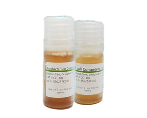 competent cell recovery media thumbnail image