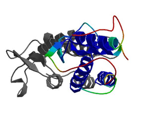 SCFs collection Image