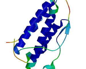 THPO Collection Image